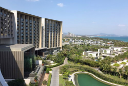 艾迪逊,探索创新与变革的科技先锋